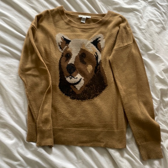 Bear sweater 🐻 - Picture 1 of 3